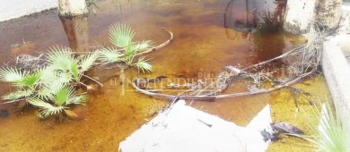 Estero de San José sin afectaciones mayores tras el paso de Bud