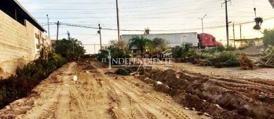 Sepuim afirma que árboles retirados de la plaza Amelia Wilkes serán replantados