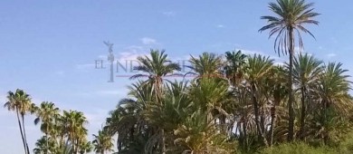 “Quiere gobierno estatal boicotear Reserva en Sierra La Giganta y Guadalupe”