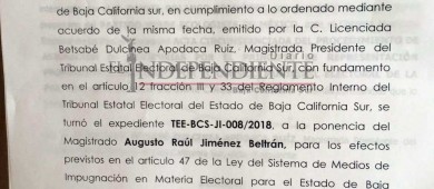 Impugna el PVEM criterio de género para remover a su propia regidora