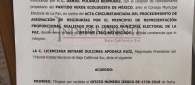 Impugna el PVEM criterio de género para remover a su propia regidora