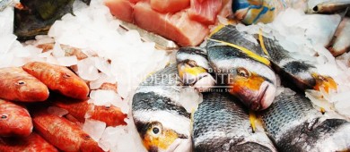 Para proteger a vaquita marina prohíben importación de pescados y mariscos mexicanos en EEUU