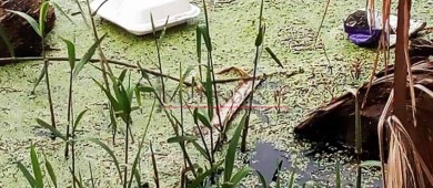 Estero San José se queda sin senderos