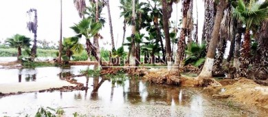 Estero San José se queda sin senderos