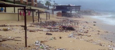 Tirando basura nos matamos a nosotros mismos, Araoz Gamiño