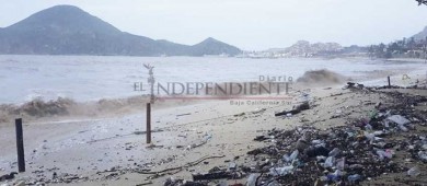 Tirando basura nos matamos a nosotros mismos, Araoz Gamiño