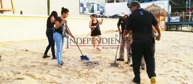 Ciudadanos limpian playas de CSL tras el paso del Huracán “John”