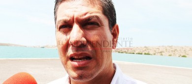 Confirma Semarnat muerte de delfines en bahía de La Paz