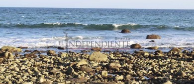 Limpia el agua en playas de Los Cabos