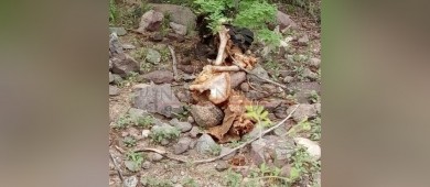 Localizan una osamenta humana en La Paz