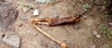 Localizan una osamenta humana en La Paz