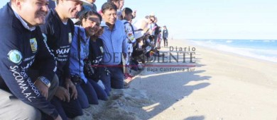 Red para Protección de la Tortuga libera 2.5 millones de crías en playas de Los Cabos
