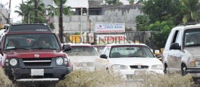 Calles y avenidas de Los Cabos, otra vez castigadas por las lluvias