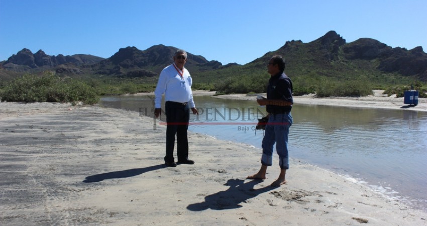 Analizan aguas de playa El Tecolote por supuestas heces fecales