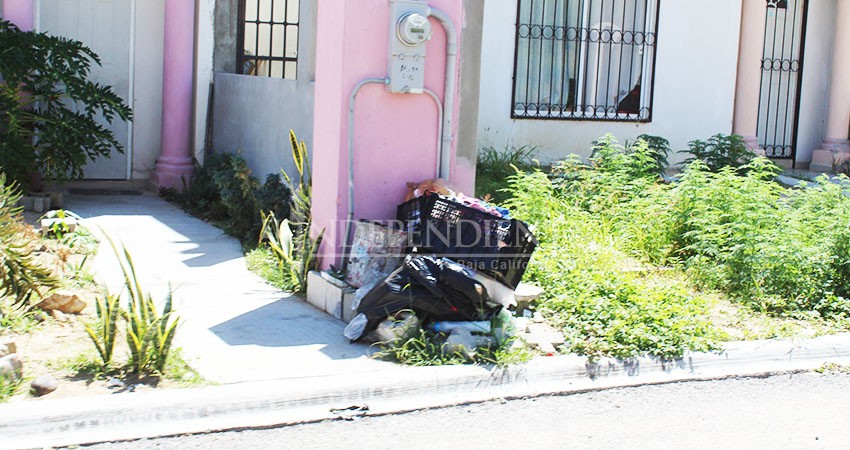 Sigue sin pasar el camión recolector de basura en colonia Miramar de CSL