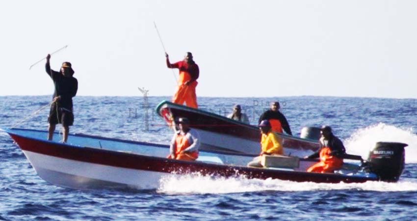 Detienen embarcación que pescaba Marlín con arpones en Todos Santos 