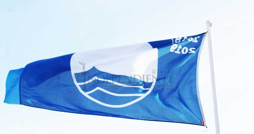 Retiran bandera Blue Flag a Hotel Riu por destrucción de nido de tortugas