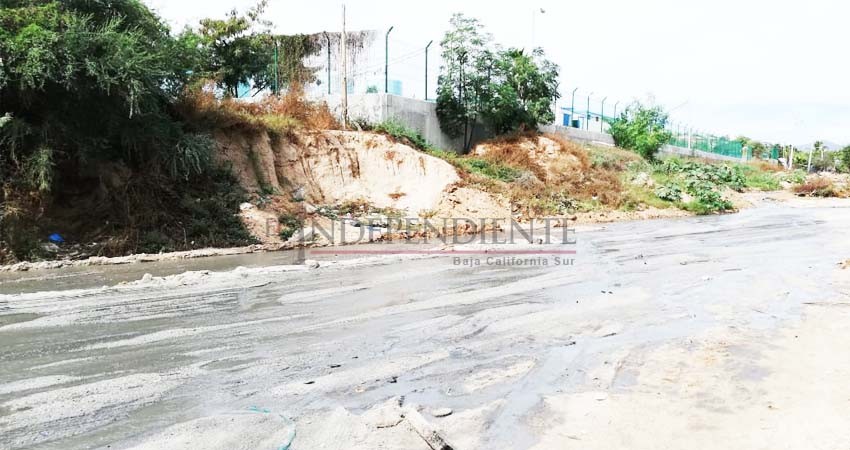 Derrama Planta de Tratamiento del Oomsapas cientos de litros de aguas negras a cauce de arroyo de CSL 