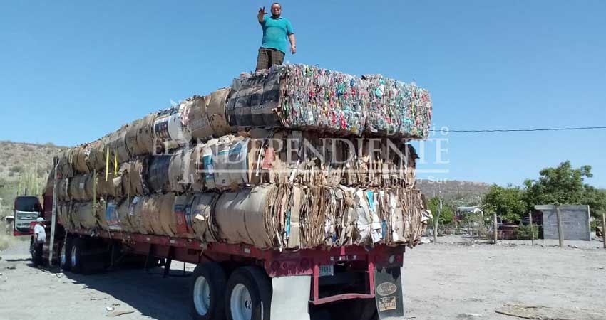 Acusan a Eco-Alianza Loreto de falso apoyo al reciclaje