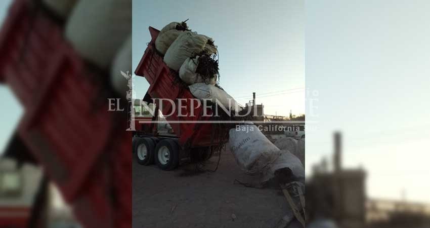 Acusan a Eco-Alianza Loreto de falso apoyo al reciclaje