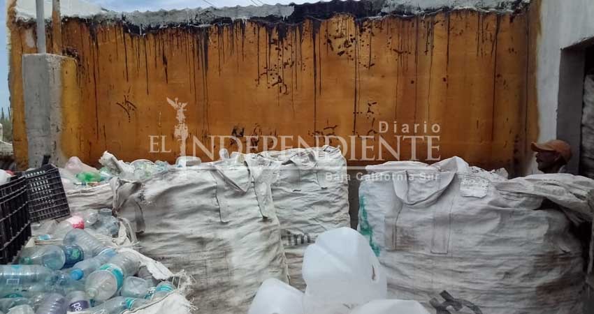 Acusan a Eco-Alianza Loreto de falso apoyo al reciclaje