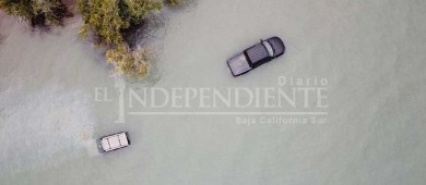 Quedan atrapados carros en el manglar de La Paz
