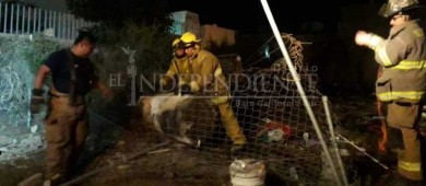 Incendio despierta a vecinos de la Col Miramar en CSL