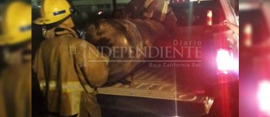 Incendio despierta a vecinos de la Col Miramar en CSL