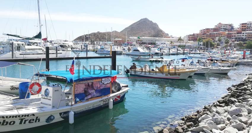 “Siguen comercializando carne de marlin y dorado y nadie hace nada”: Pescadores deportivos 