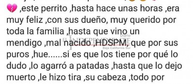 Ciudadana de La Paz denuncia asesinato de su mascota; población exige justicia