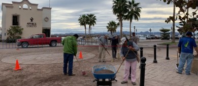 Loreto tiene las playas más limpias del Estado, asegura Zofemat