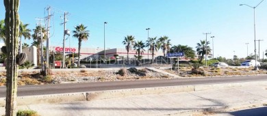 “Para cruzar la Carretera, tenemos que arriesgar la vida”: Sondeo Ciudadano