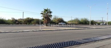 “Para cruzar la Carretera, tenemos que arriesgar la vida”: Sondeo Ciudadano