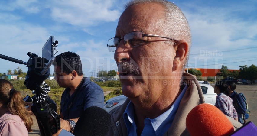 Hasta 200 tiburones ballena se observaron esta temporada en La Paz: Conanp