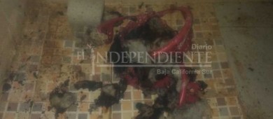 Tres menores de edad fueron rescatados de un incendio