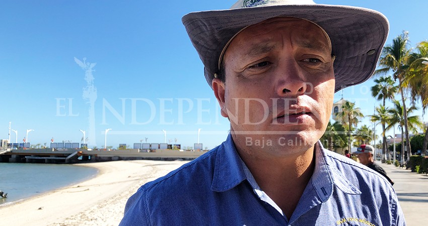 La irresponsabilidad de Baja Ferries está afectando el flujo turístico de La Paz 
