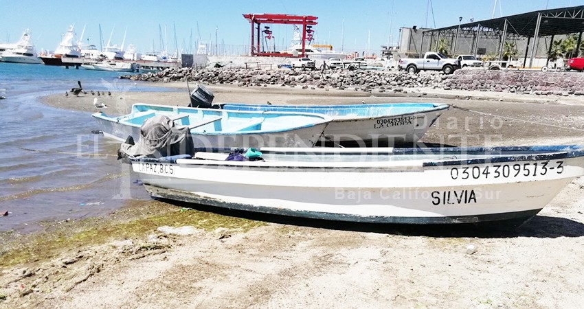 Limpieza de mangles y playas, una tradición entre los pescadores paceños