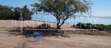 Escombros, basura y químicos amenazan manglares de Chametla y El Centenario