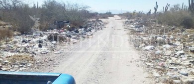 Escombros, basura y químicos amenazan manglares de Chametla y El Centenario