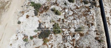 Escombros, basura y químicos amenazan manglares de Chametla y El Centenario