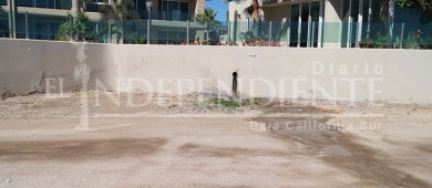 Escombros, basura y químicos amenazan manglares de Chametla y El Centenario