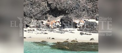 Acusan a Federico Heller y Federica Pelayo de daño ecológico a Balandra tras realizar su boda