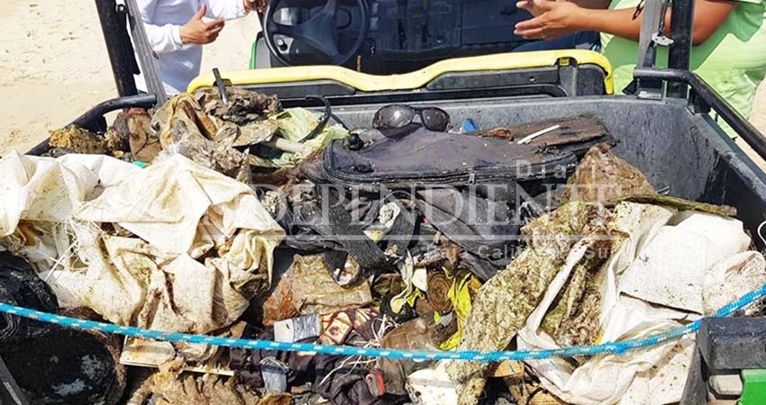 Zofemat Los Cabos realiza limpia para evitar que basura llegue al mar 