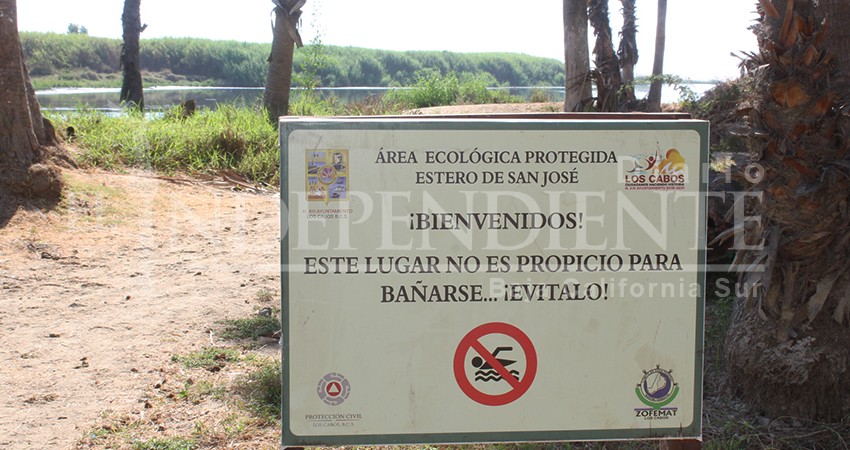 CIBNOR y Conagua entregaron estudios sobre el Estero de SJC al XIII Ayto. de Los Cabos