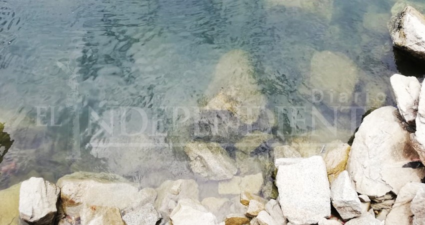 Aguas negras dañan espejo de agua de la Marina de CSL