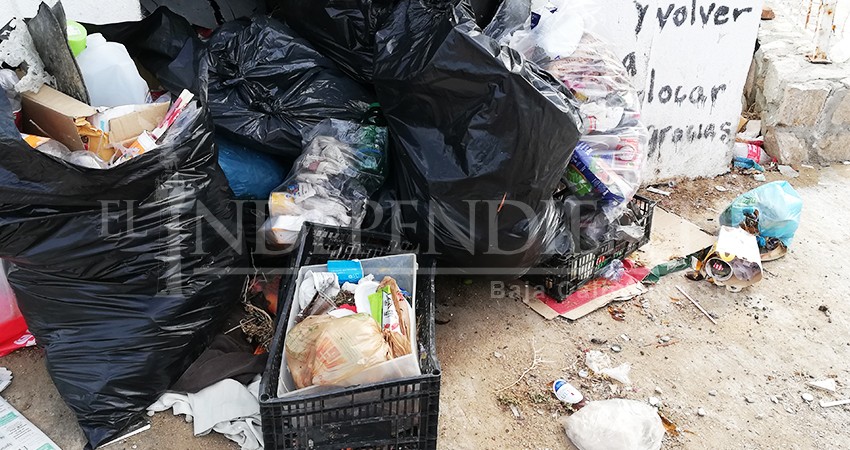 Cajas de plástico sustituyen bolsas en basureros de CSL