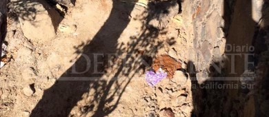 Insiste Waterkeeper en los altos índices de contaminación de Playa Balandra