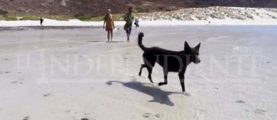 Insiste Waterkeeper en los altos índices de contaminación de Playa Balandra