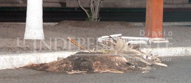 Sigue acumulándose la basura en La Paz por "periodo vacacional"