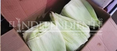 Elotero de La Paz se une a la desplastificación